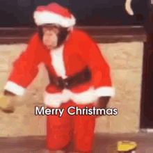 gif-container